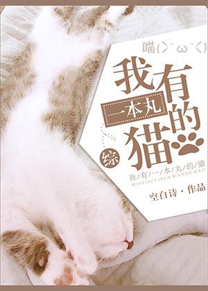 I have a cat with a pill [Comprehensive]